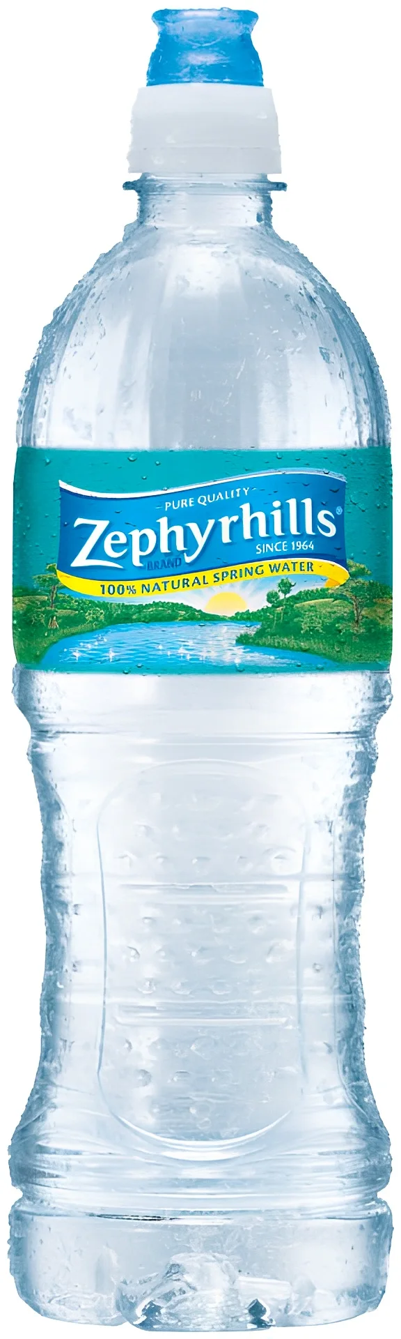 Zephyrhills 100% Natural Spring Water Plastic Bottle, 23.7 Oz
