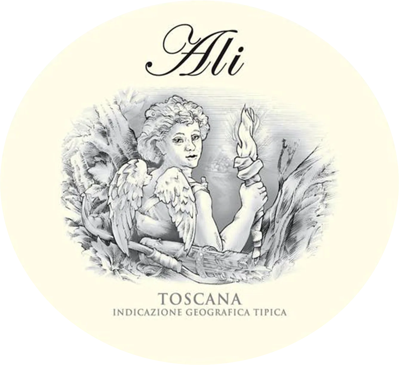 Donna Laura Ali 2021 Red Wine - Italy