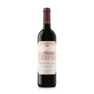 Dominio De Eguren Protocolo Tinto 2020 Red Wine - Spain
